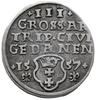 trojak 1557, Gdańsk; odmiana z lilijkami pod datą; Iger G.57.3.b (R4), CNG 93, Kop. 7369 (R4), Tys..