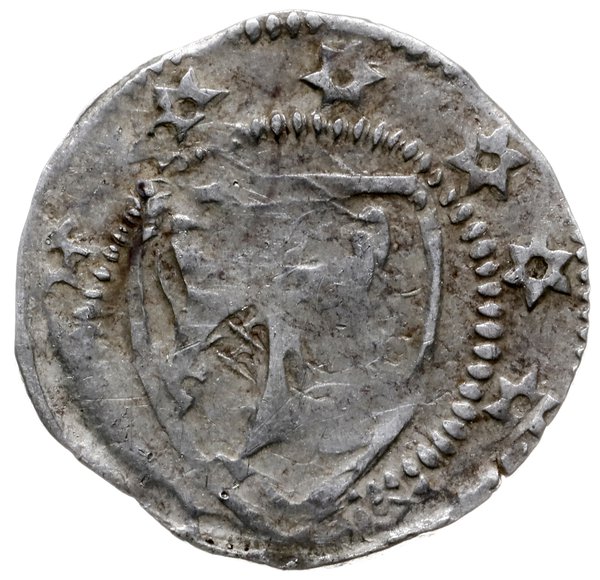 Regencja Henryka z Wierzbna; kwartnik 1305-1306,