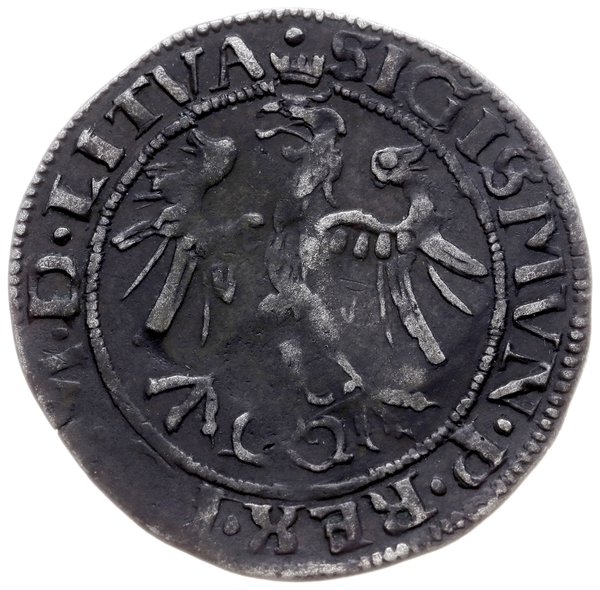 grosz 1536, Wilno; odmiana z literą I pod Pogoni