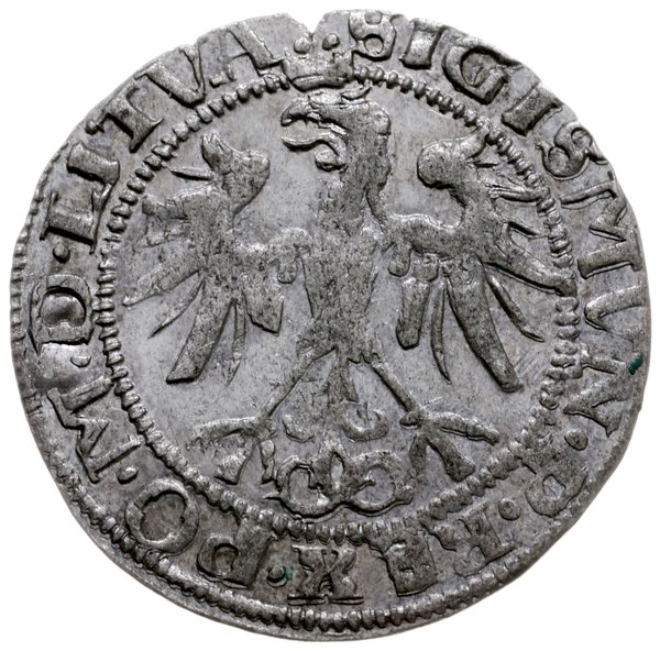 grosz 1536, Wilno; odmiana bez litery pod Pogoni
