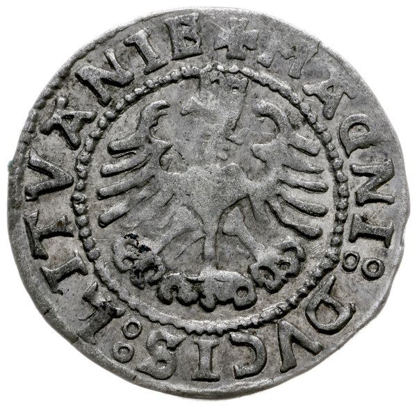 półgrosz 1528, Wilno; odmiana bez litery V pod P