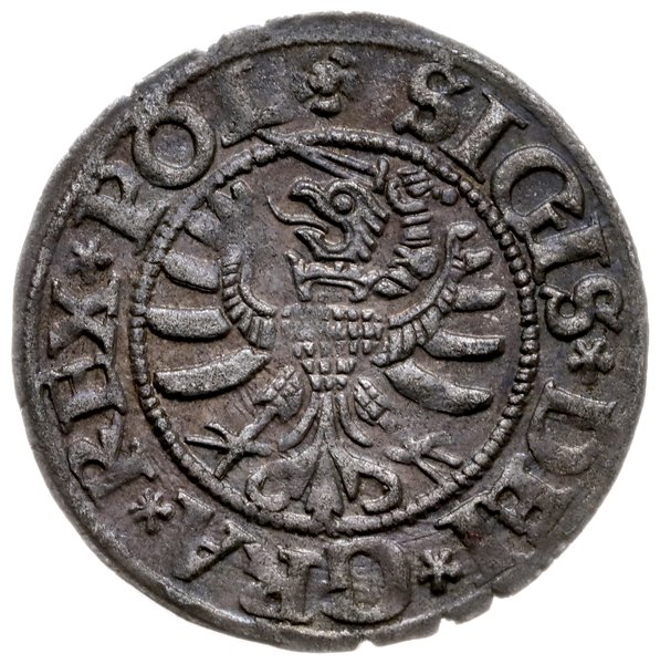 szeląg 1531, Gdańsk; CNG 53.II; ładna patyna, pi