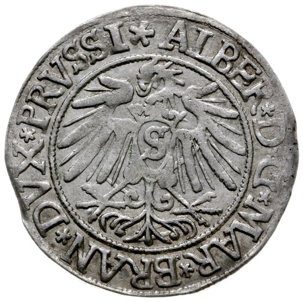grosz 1538, Królewiec; rzadka odmiana z napisem 