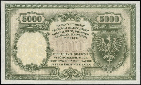 5.000 złotych 28.02.1919, próbny druk, seria A, bez numeracji ani podpisów, bez nadruków