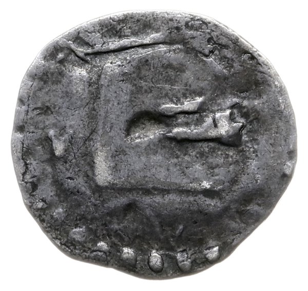 denar po 1326 r., mennica w Wielkopolsce