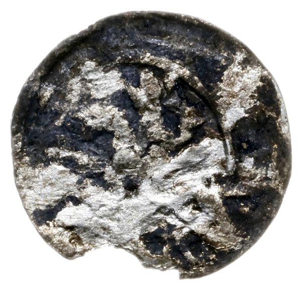 denar 1370-1375, Aw: Korona, Rw: Herb Kujaw- półorzeł, półlew