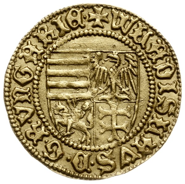 goldgulden bez daty (1443), Hermannstadt (węg. Nagyszeben)