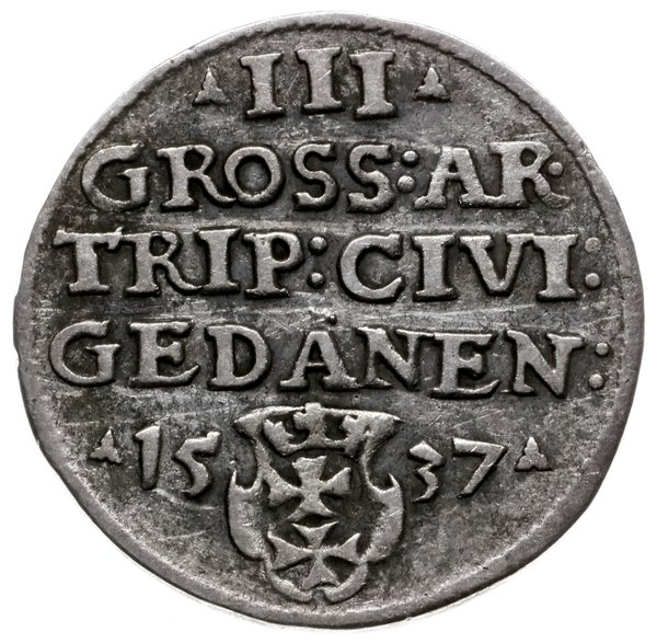 trojak 1537, Gdańsk; popiersie króla w czepcu i 