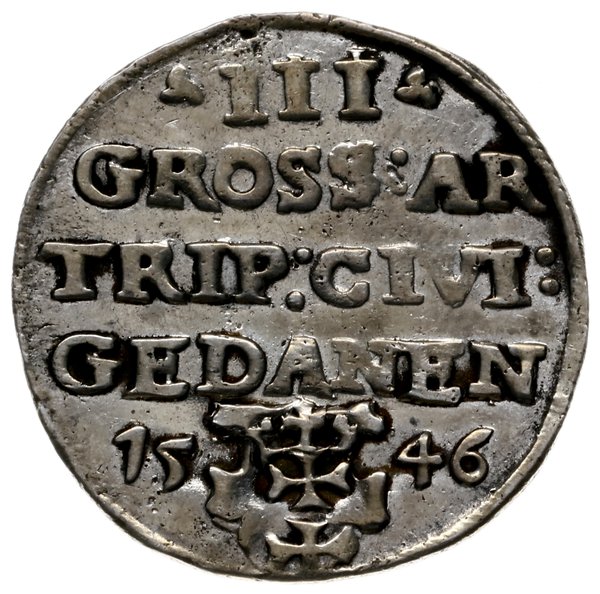 trojak 1546, Gdańsk; popiersie króla w czepcu i 