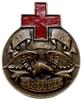 medal z lat 1919-1927 wykonany za zasługi Polskiego Towarzystwa Czerwonego Krzyża - PTCK (późniejs..