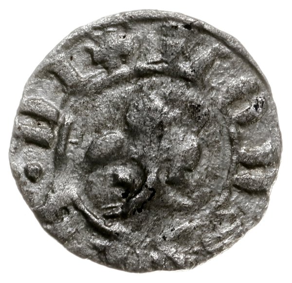 denar, Kraków, Aw: Lilia, fragmenty napisu LODOVIC DI