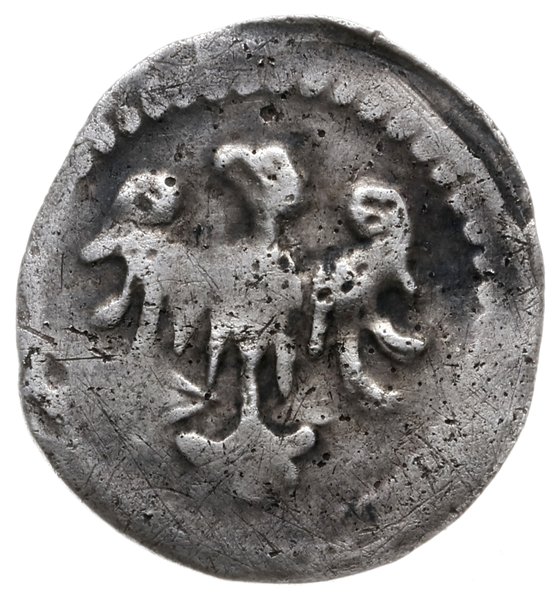 parwus, początek XIV w.; Aw: Orzeł heraldyczny z