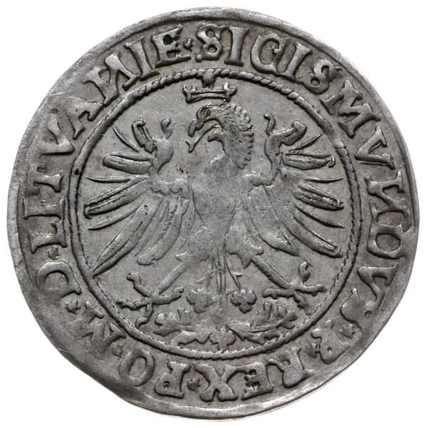 grosz 1535, Wilno; bez litery pod Pogonią, liter