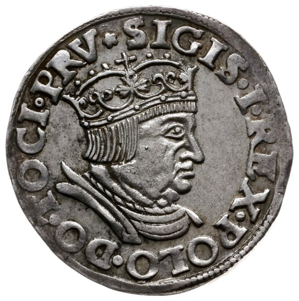 trojak 1536, Gdańsk; popiersie króla z wąską gło