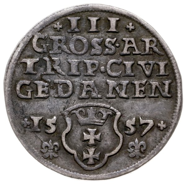 trojak 1557, Gdańsk