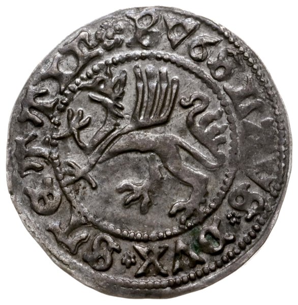 szeląg 1495, Dąbie; Dbg 383; na monetach pomorsk