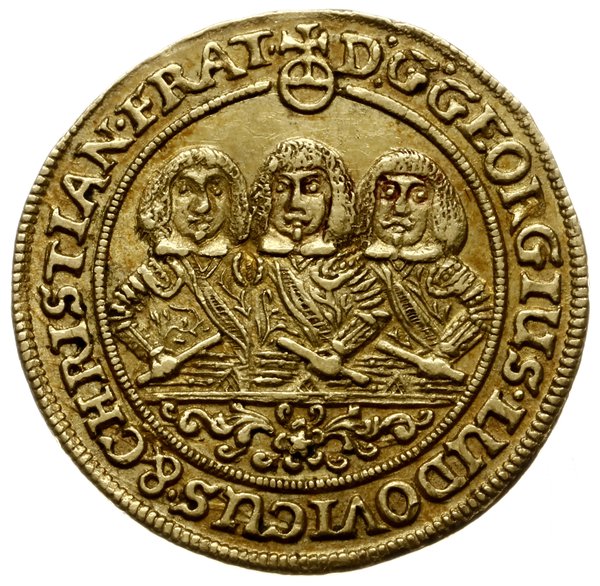 dukat 1660, Brzeg