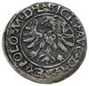 półgrosz 1566, Tykocin; moneta z dużym herbem Ja