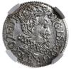 trojak 1619, Ryga; mała głowa króla, gwiazdki pr
