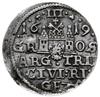 trojak 1619, Ryga; mała głowa króla, trójlistki przy nominale; Iger R.19.1.a (R3), K.-G. 1.30, Tys..