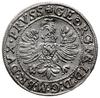 grosz 1595, Królewiec; Henckel 3172a, Slg. Marienburg 1304, v. Schrötter 1295, Voss. 1454; minimaa..