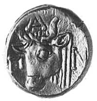 PANTIKAPEA, AE-17 (IV w. p.n.e), Aw: Głowa Pana w lewo, Rw: Głowa byka w lewo i napis ¶AN, Sear169..