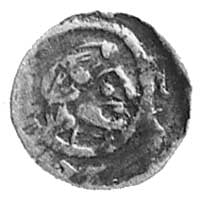 Hrabstwo Holandii, Floris IV 1222-1234, denar ty