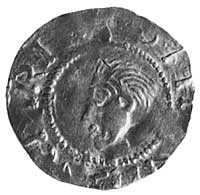 Henryk II, denar, Aw: Głowa w lewo i napis ..NRICV.. P, Rw: Krzyż, w polu kule i napis BONA, w oto..