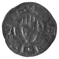 denar XII lub XIII w., Aw: Krzyż i nieczytelny napis, Rw: Prawica Boża i napis, 0,5 g.
