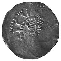 cesarz Henryk II, denar, Aw: Głowa w koronie i n