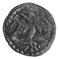denar, Aw: Hełm, Rw: Orzeł, Kop.IV.a -rrr-, Gum.343, Paszkiewicz WN typ 3.23, 0,22 g., monety Łoki..