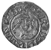 Urban V 1362-1370 (Guillaume de Grimoard), AR bolognino, Aw: Popiersie w mitrze i napis VRB PP QNT..