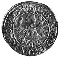 półgrosz 1566, Tykocin, j.w., Kop.IIt.b -rrr-, Gum.607 RR, T.12, mały herb Jastrzębiec- moneta nie..