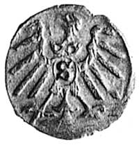 denar 1559, Królewiec, Aw: Orzeł, Rw: j.w., Kop.
