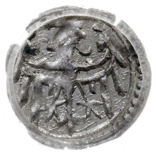 halerz 1420-1423, Lubin