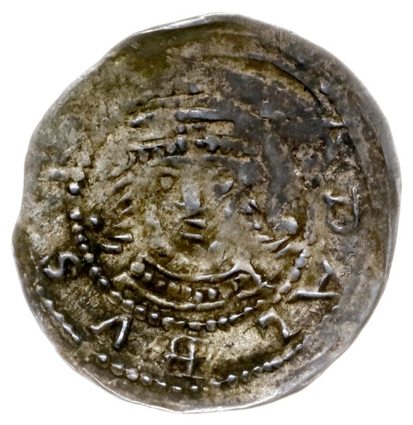 denar 1239-1249, Gniezno