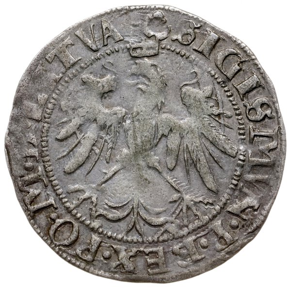 grosz 1536, Wilno; odmiana z literą I pod Pogoni