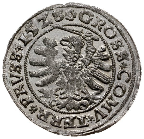 grosz 1528, Toruń