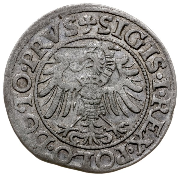grosz 1538, Elbląg; H-Cz. 387, Kop. 7083 (R7), P