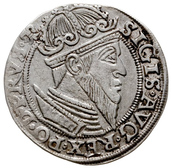 trojak 1557, Gdańsk; popiersie króla w obwódce; 