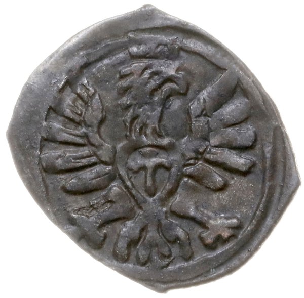 denar 1608, Poznań