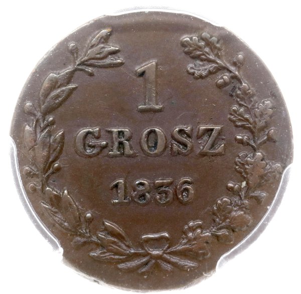 grosz 1836, Warszawa; rzadszy wariant z ogonem O
