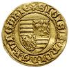 goldgulden bez daty (1392-1396), Buda, mincerz Bernardi Ferenc; Aw: Czteropolowa tarcza herbowa,  ..