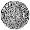 półgrosz 1545, Wilno; odmiana z tytulaturą króla po stronie Pogoni, końcówki L/LITVA; Kop. 3235 (R..