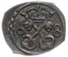 denar 1608, Poznań; skrócona data 0-8; H-Cz. 124