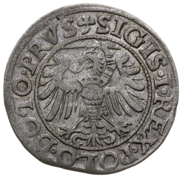 grosz 1538, Elbląg; H-Cz. 387, Kop. 7083 (R7), P