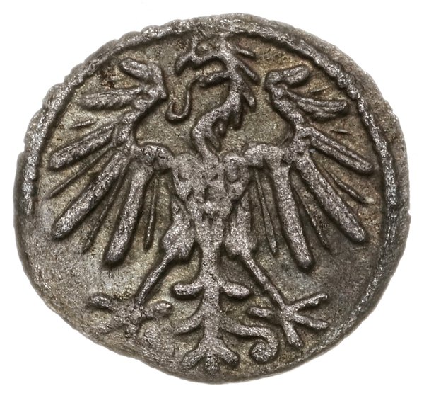 denar 1551, Wilno