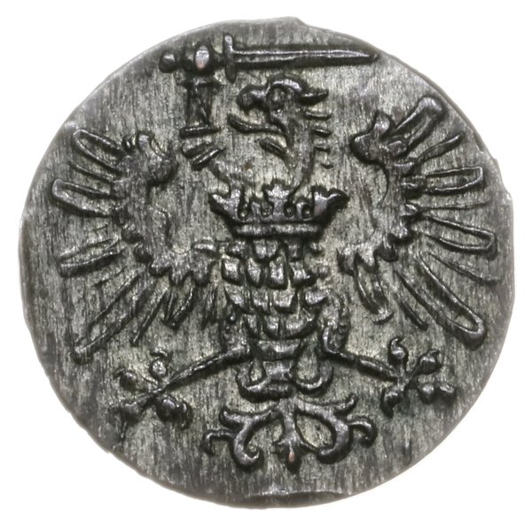 denar 1573, Gdańsk