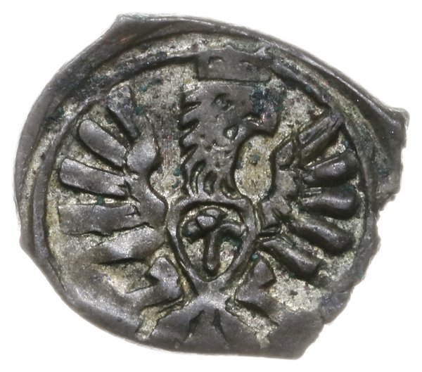 denar 1607, Poznań