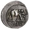 denar 49-48 pne, Rzym; Aw: Słoń kroczący w prawo, tratujący smoka, w odcinku CAESAR; Rw: Przyrządy..
